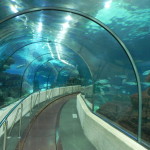 Tunel podwodny
